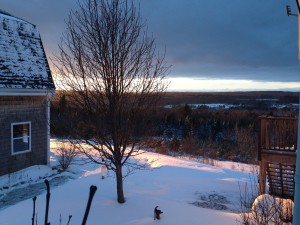 Evening Light