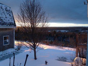 Evening Light