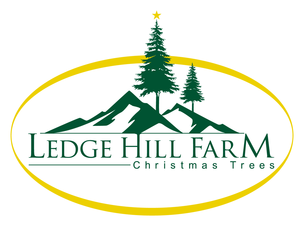 Ledge Hill Farm Christmas Trees